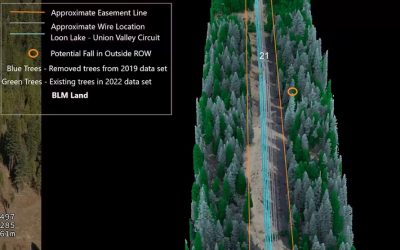 Lower Risk Of Wildfires Along T&D Systems Long Term