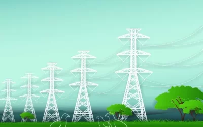 The Quail Effect: An Indicator of Safety Culture